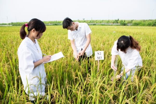 Ngành Khoa học cây trồng là học gì? Điểm chuẩn và các trường đào tạo