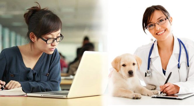 Ngành Thú y học trường nào