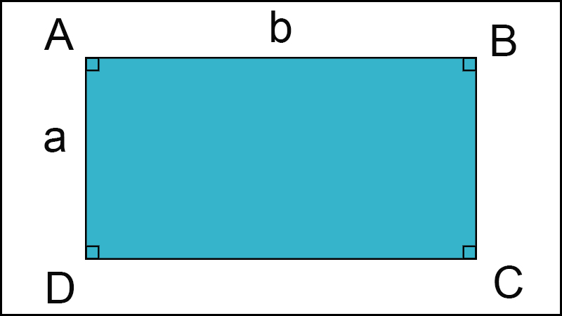Diện tích hình chữ nhật Công thức tính chu vi và diện tích hình chữ nhật
