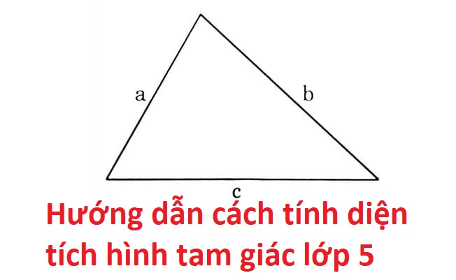 Hướng dẫn cách tính diện tích hình tam giác lớp 5