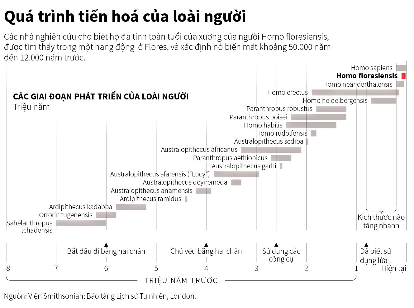 Các giai đoạn phát triển của loài người