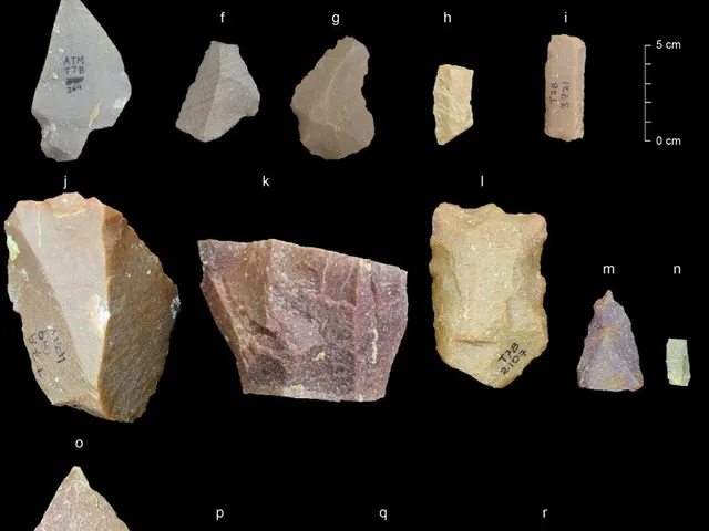 Công cụ thời kỳ đồ đá
