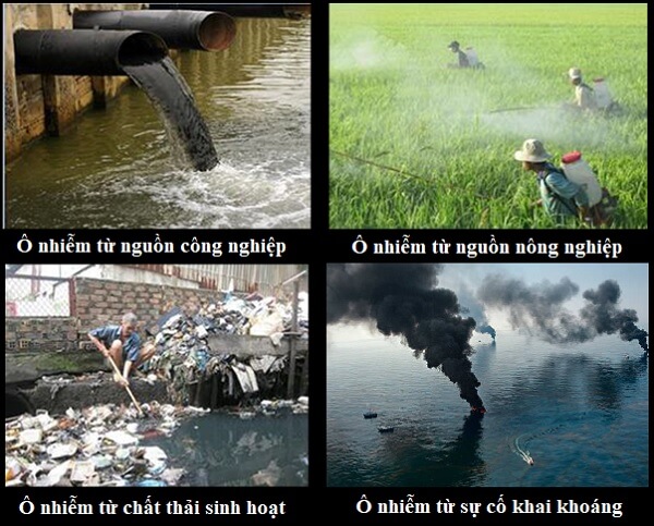 Nguyên nhân dẫn đến ô nhiễm nguồn nước