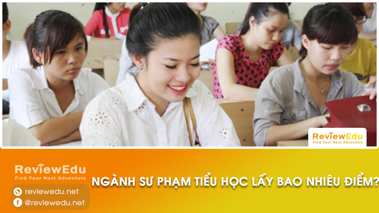 sư phạm tiểu học lấy bao nhiêu điểm