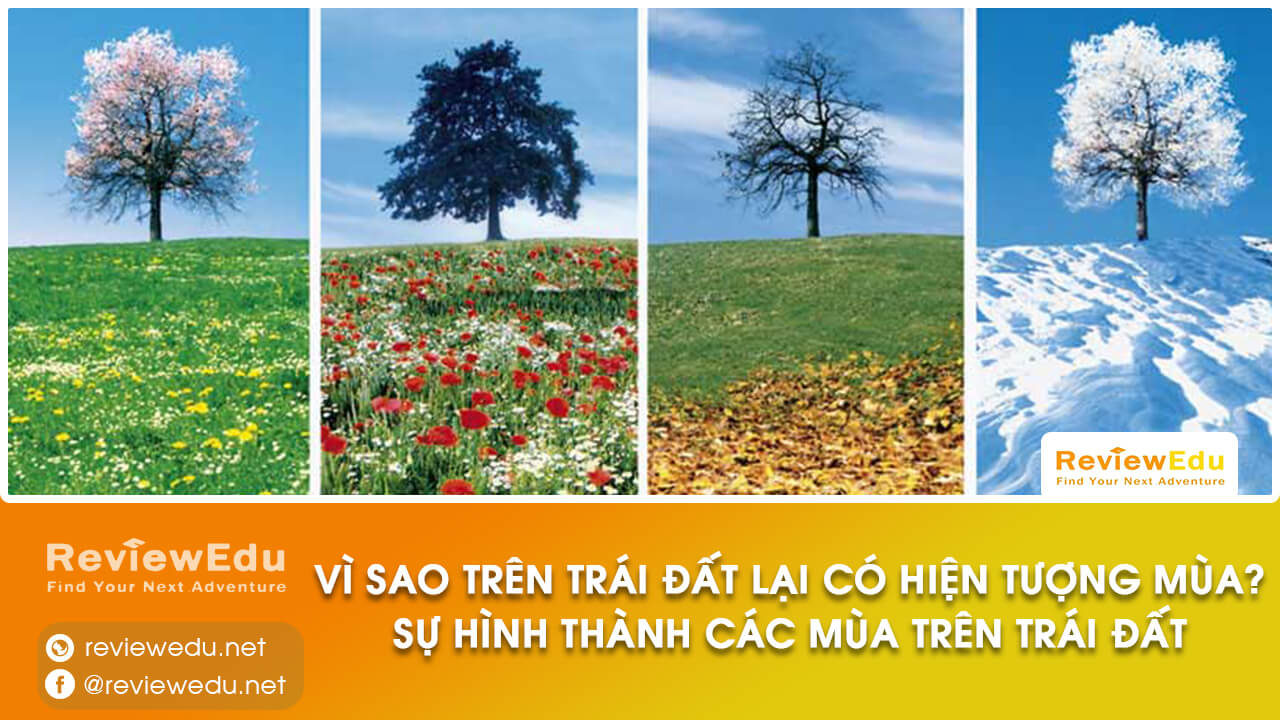 hiện tượng mùa trên Trái Đất