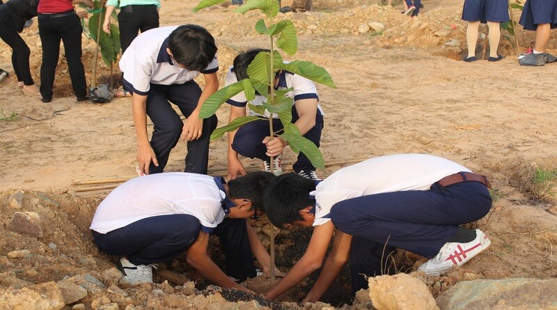 Học sinh cần làm gì để bảo vệ rừng? 