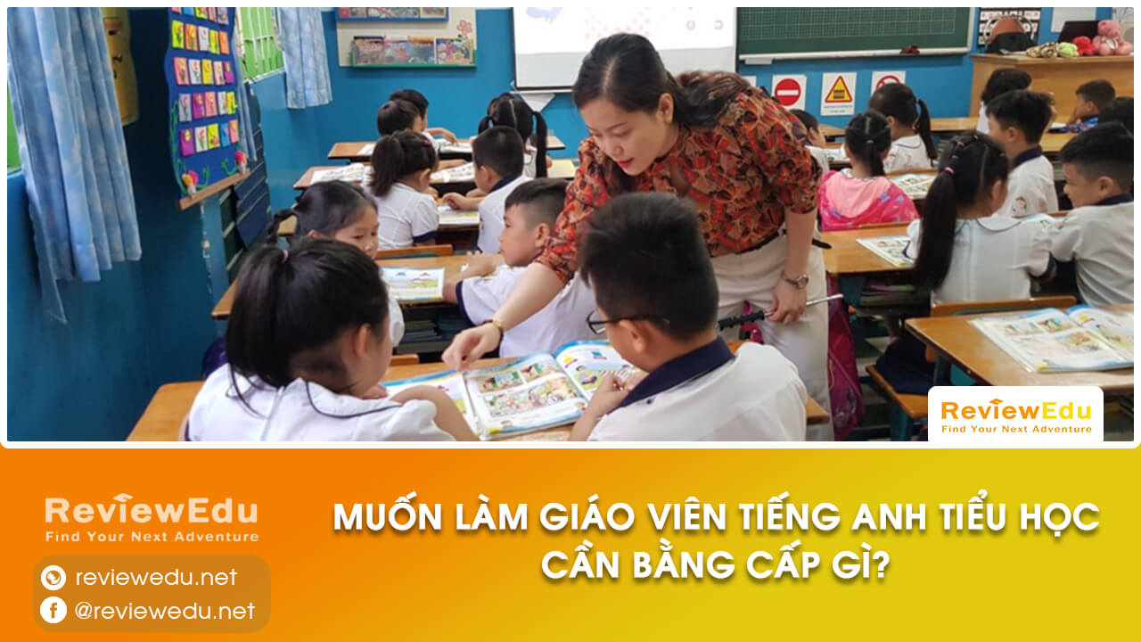 giáo viên tiếng anh tiểu học cần bằng cấp gì