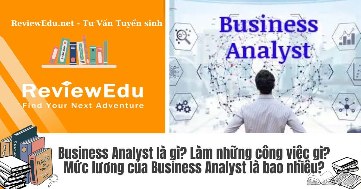 Business Analyst