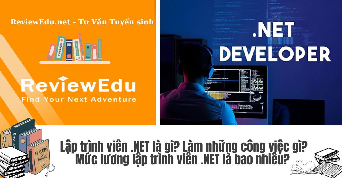 lập trình viên net