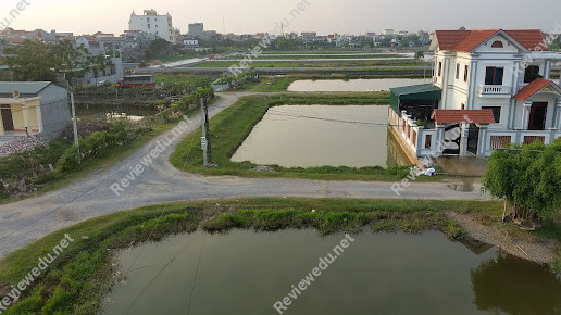 Trung tâm Anh Ngữ Quốc tế AlibabaSchool