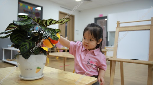 Trường Mầm Non Sakura Montessori