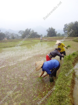 Trường Mầm Non Sơn Ca