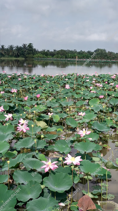 Trường Mầm Non Song Ngữ Tinh Hoa