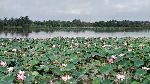 Trường Mầm Non Song Ngữ Tinh Hoa