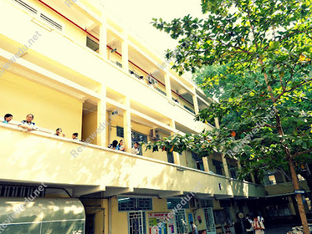 Trường THCS Kim Đồng