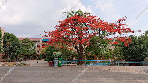 Trường THCS Long Bình