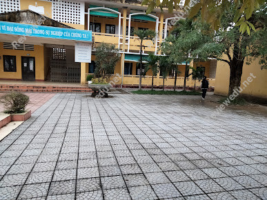 Trường THCS Nguyễn Cư Trinh