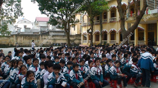 Trường THCS Vũ Hữu