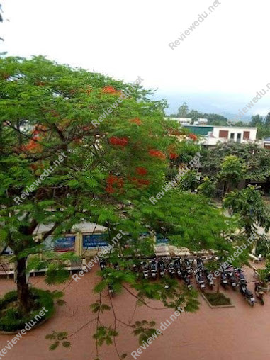 Trường THPT Lộc Bình