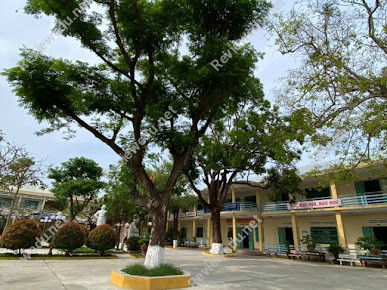 Trường THPT Nguyễn Duy Hiệu