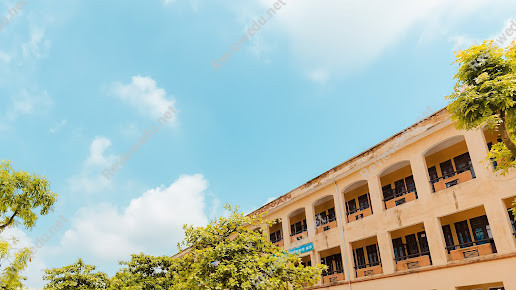 Trường THPT Phạm Ngũ Lão