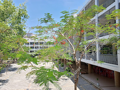Trường THPT Phan Châu Trinh