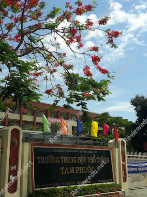Trường THPT Tam Phước