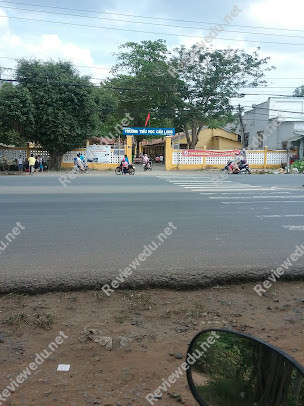 Trường Tiểu Học Cẩm Long