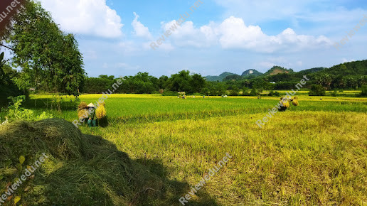 Trường Tiểu Học Đội Cấn