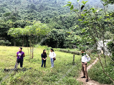 Trường Tiểu Học La Bằng