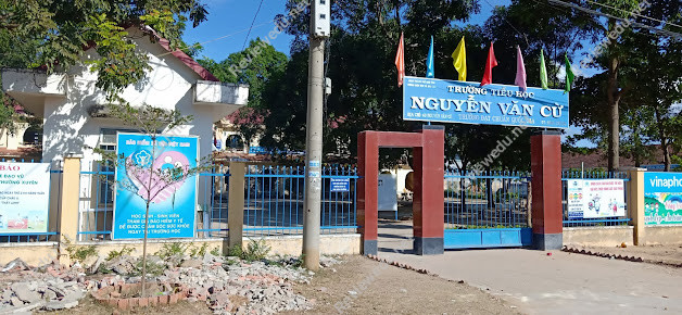 Trường Tiểu Học Nguyễn Văn Cừ