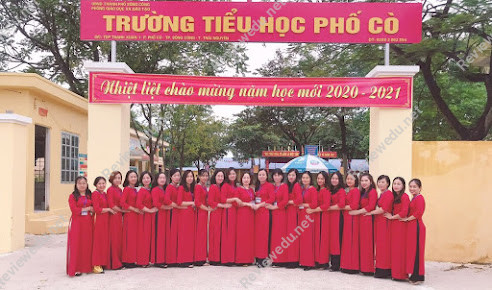 Trường Tiểu Học Phố Cò