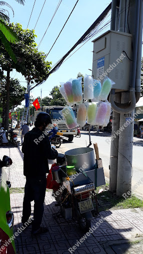 Trường Tiểu Học Tân Hạnh